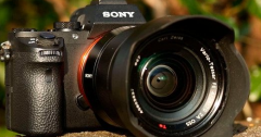 索尼a7S III相机将添加S-Cinetone色彩配置文